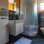 Luxury Allen With Pool